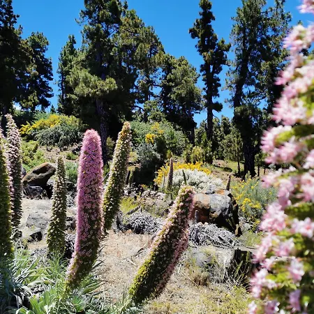 La Terraza De Juana Hébergement de vacances *