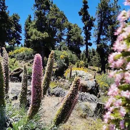 La Terraza De Juana